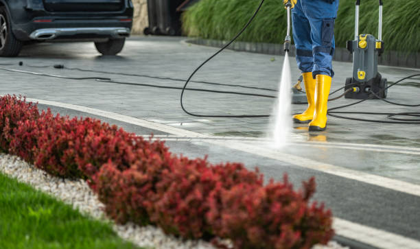  Tea, SD Pressure Washing Pros
